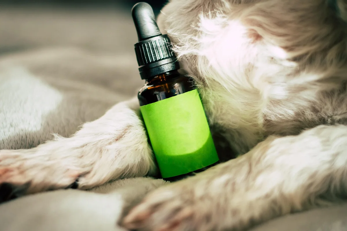 CBD Spray kaufen: worauf ich heute achte