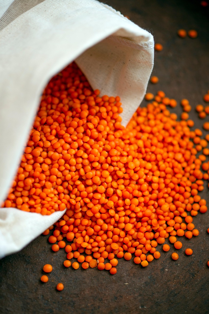 Wie gesund ist vegane Ernährung wirklich?