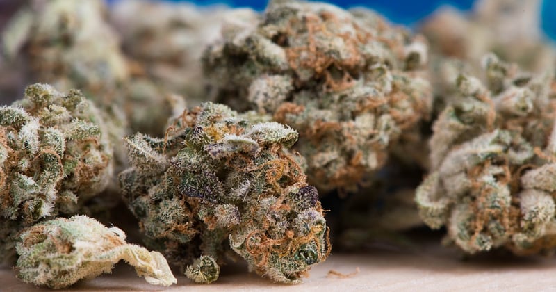 CBD rauchen Wirkung: Was du vor dem ersten Zug wissen musst