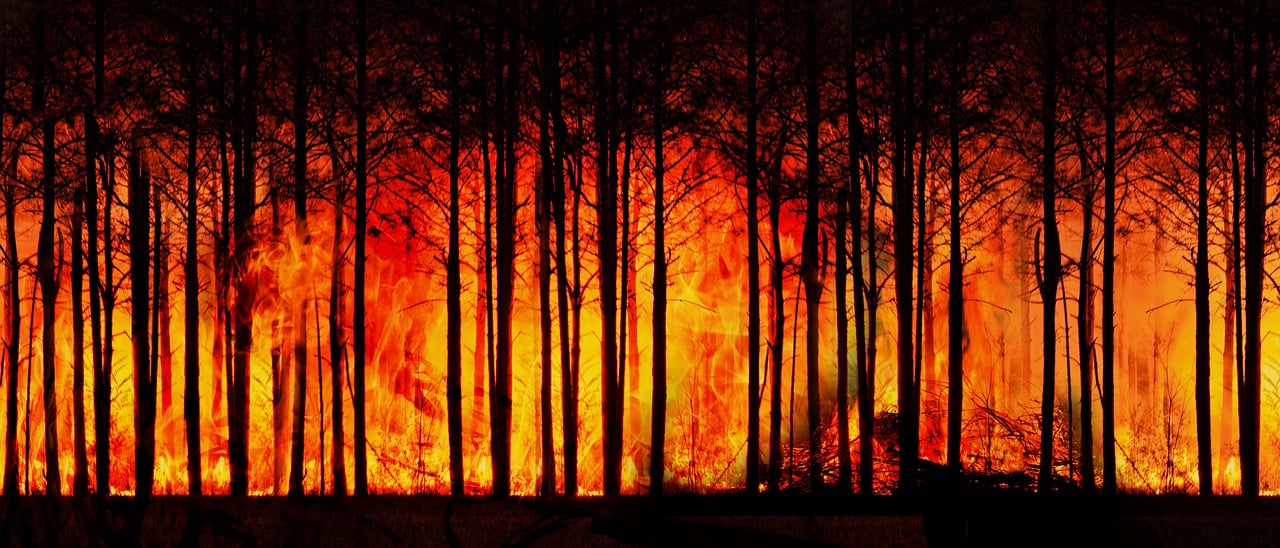 Welche Folgen hat der Klimawandel für die Landwirtschaft?