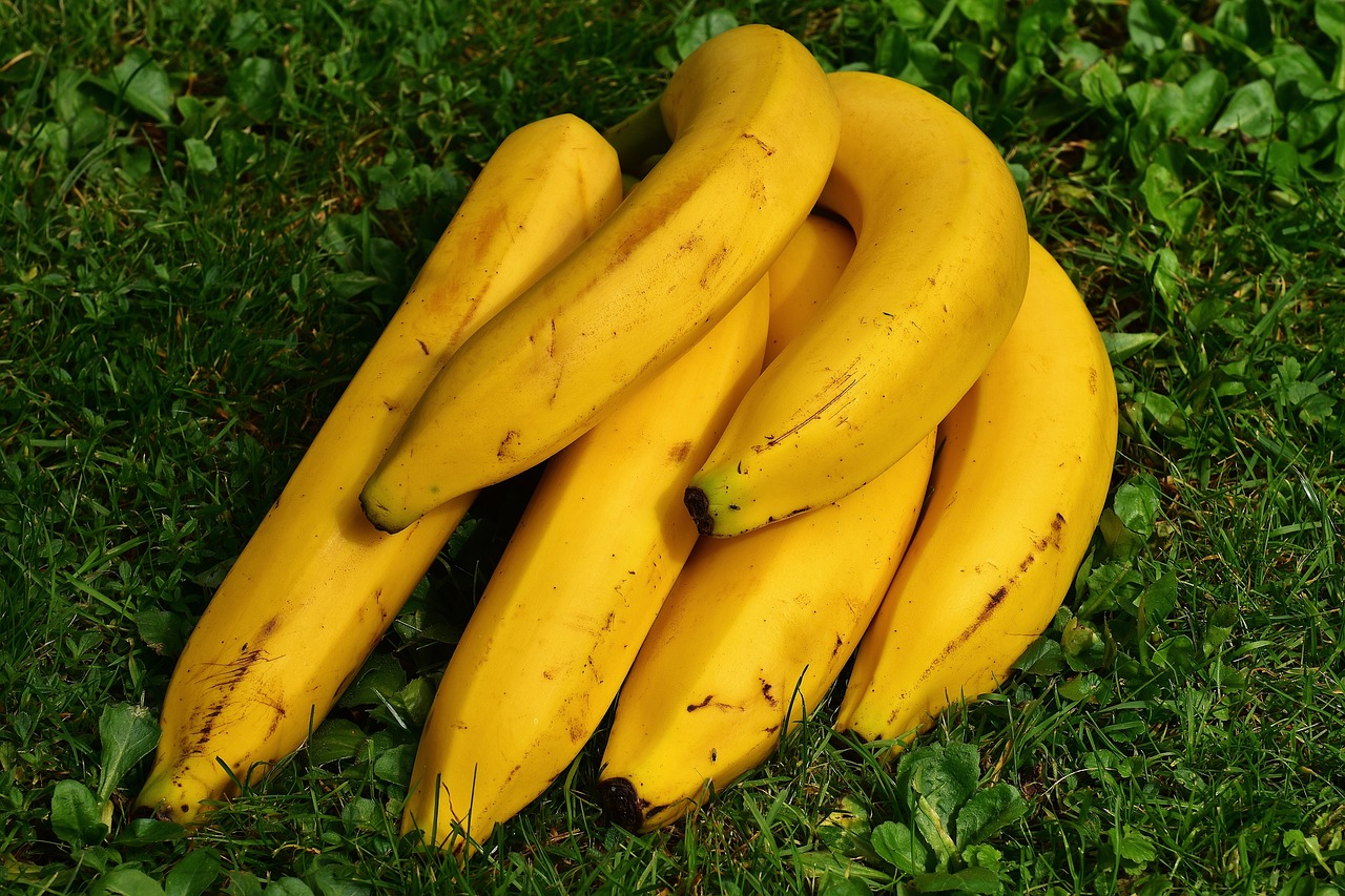 entdecken sie die besten tipps und ratschläge für eine effektive diät. erfahren sie, wie sie gesund abnehmen, ihre ernährung verbessern und ihren lebensstil nachhaltig verändern können.